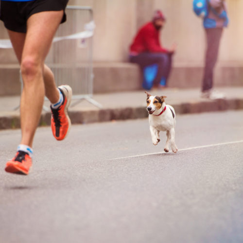 Running Pain -Through the barrier