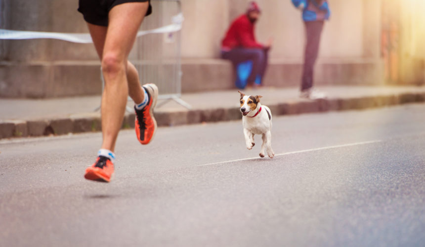 Running Pain -Through the barrier